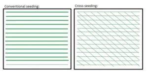 diagram of cross-seeding vs conventional